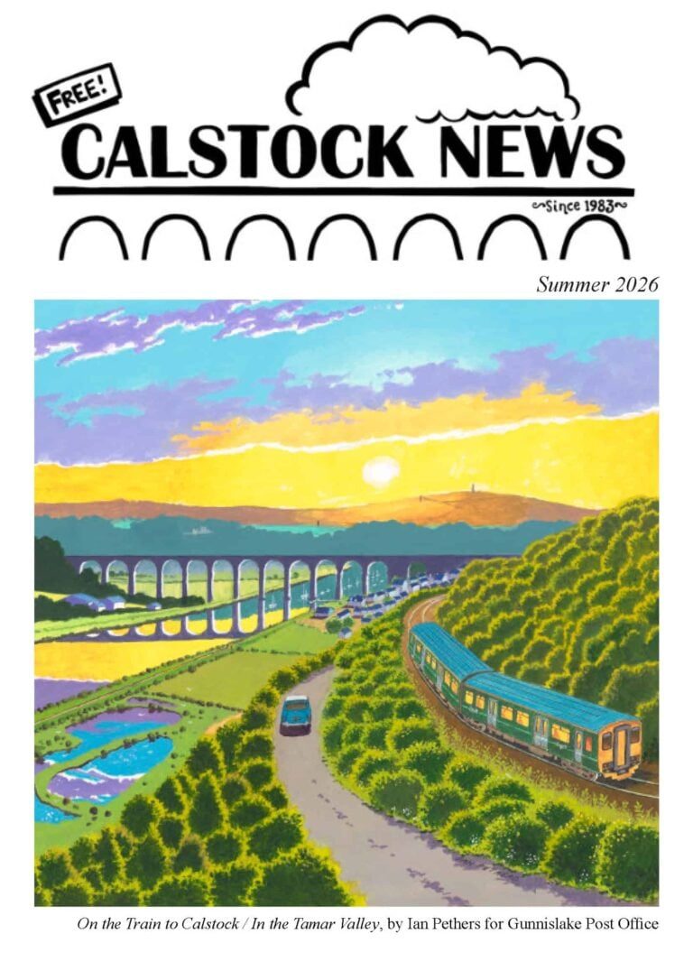 Calstock Reggae Night with food by Planet Munch