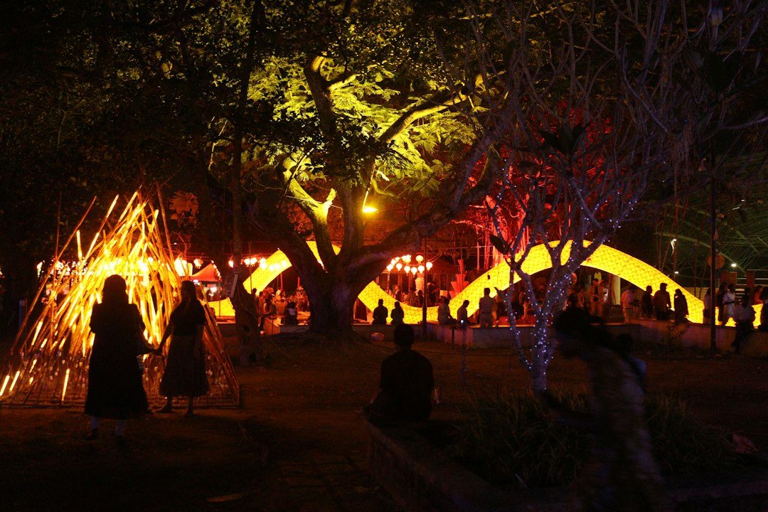 Christmas at Monkey Tree Holiday Park