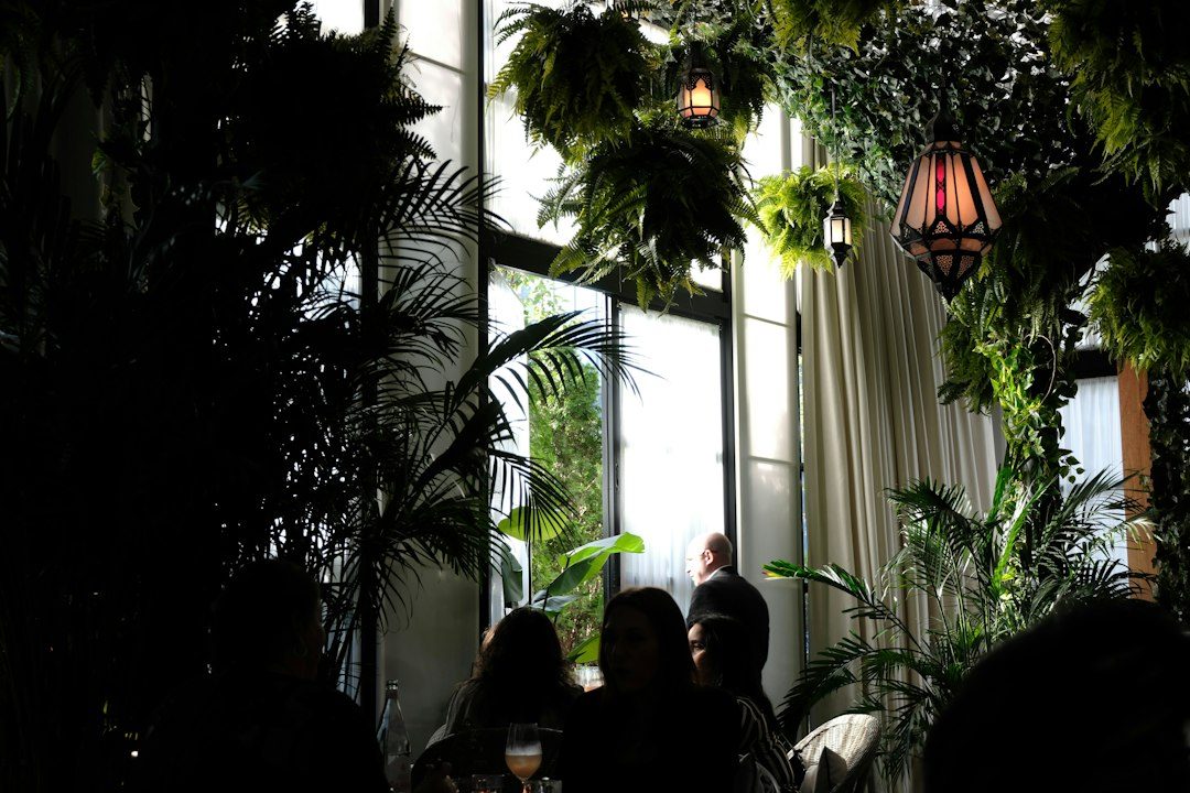 Christmas at the Eden Project