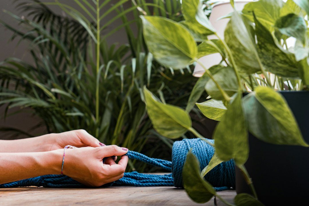 Christmas macrame workshop at Torpoint