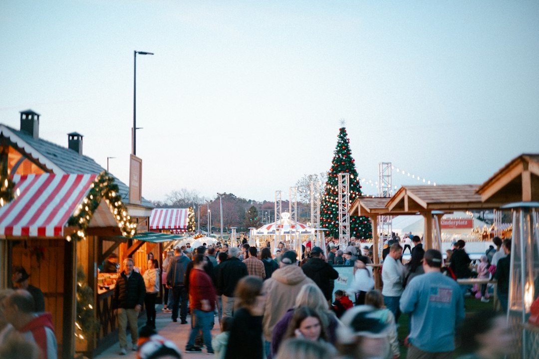 Christmas Market at The Castle & Parkhouse Centre, Bude