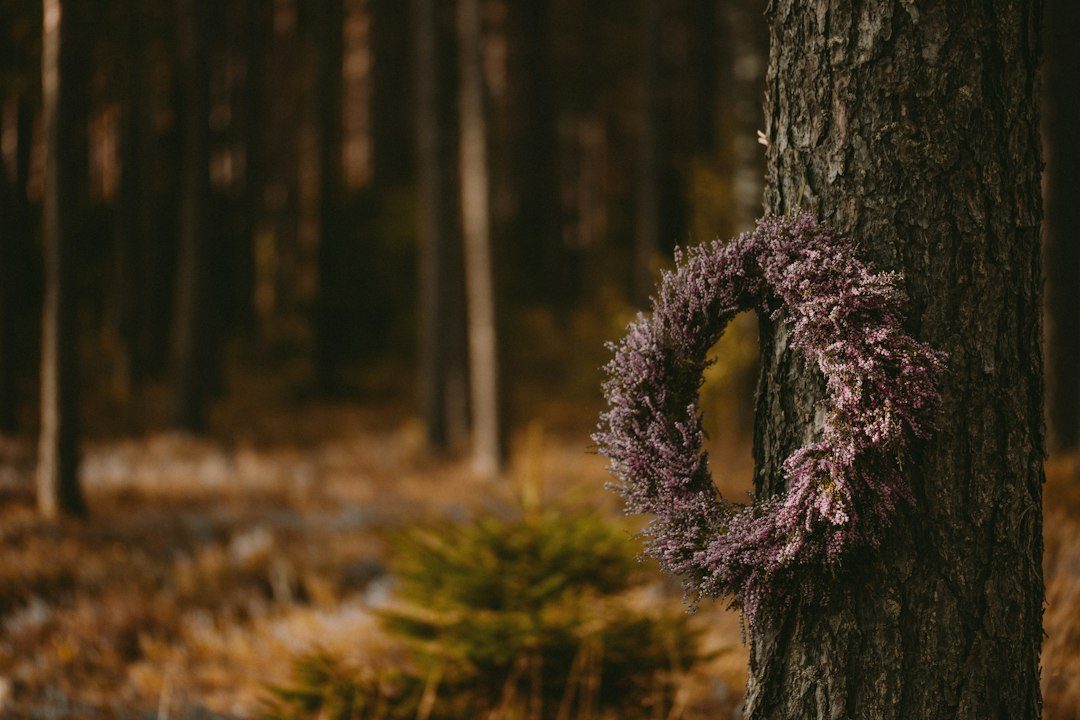 Christmas wreath making at The Upcycled Home Co