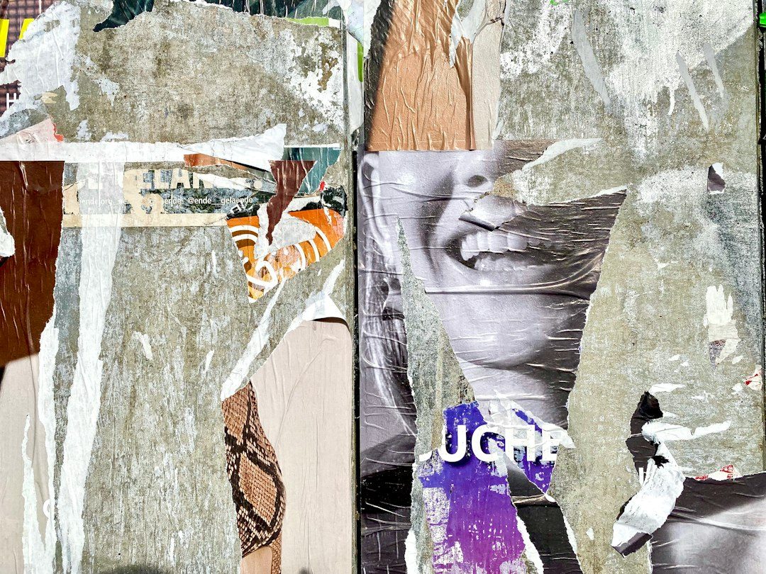 Digital Zine Workshop at Plymouth Arts Cinema
