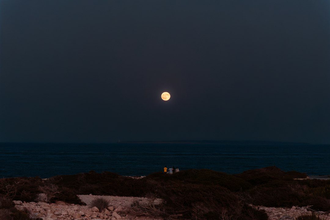 Full Moon Swim