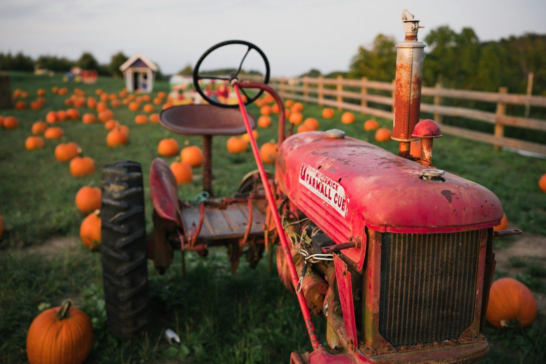 Halloween at Healeys Cyder Farm