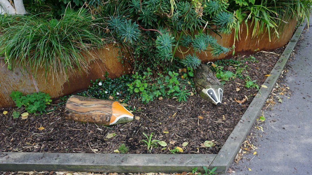 Home Ed sessions at the Lost Gardens of Heligan