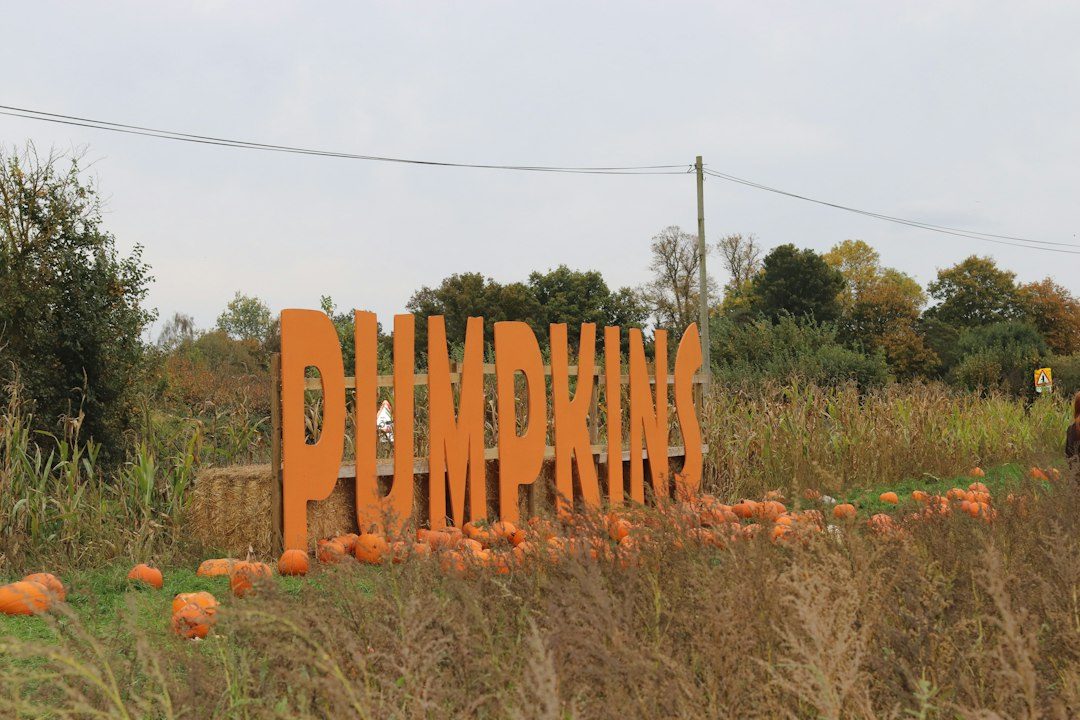 Kids' Pumpkin Picking at Lobbs Farm Shop