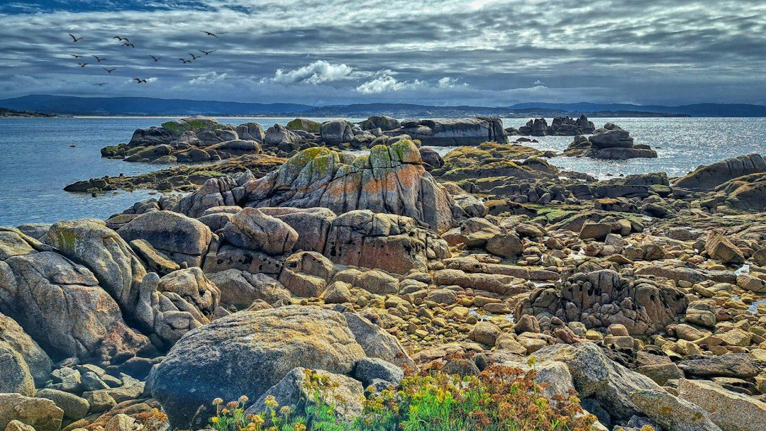 Landscape to Abstraction at St Ives School of Painting