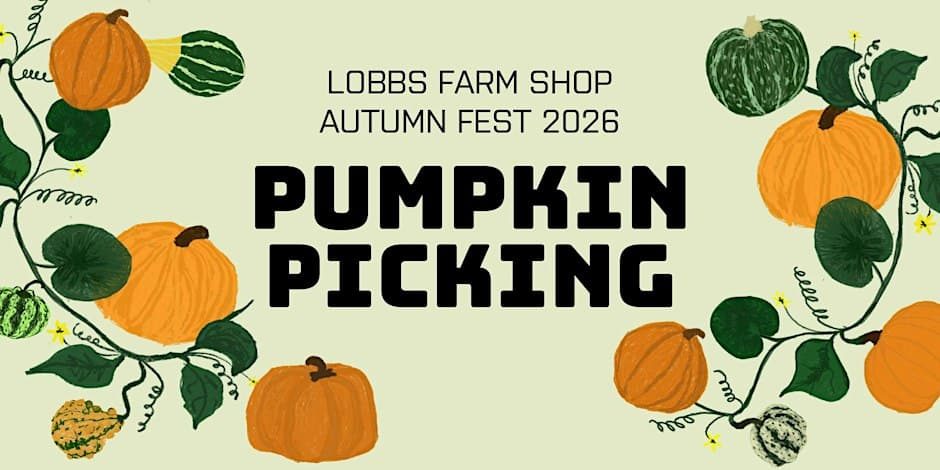 Pumpkin picking at Lobbs Farm Shop