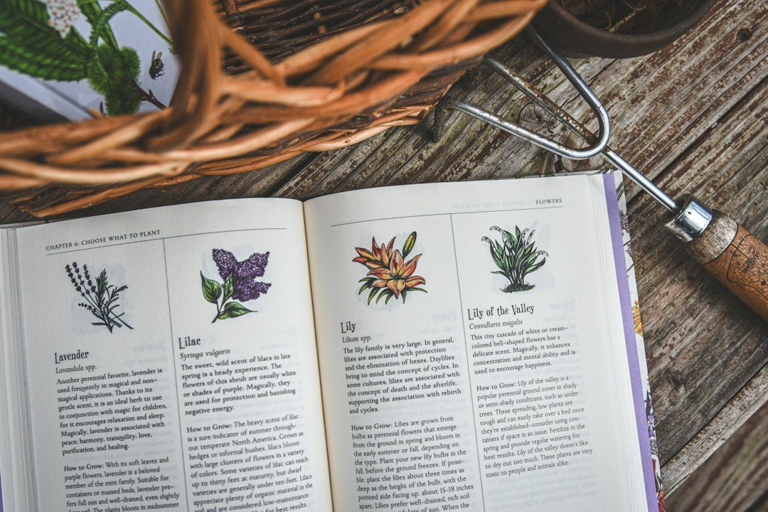 Michael Griffiths: The Easy Garden book signing at Eden Project