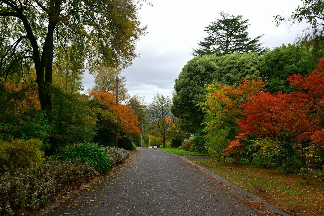 Member Autumn Garden Tour at Trebah Garden