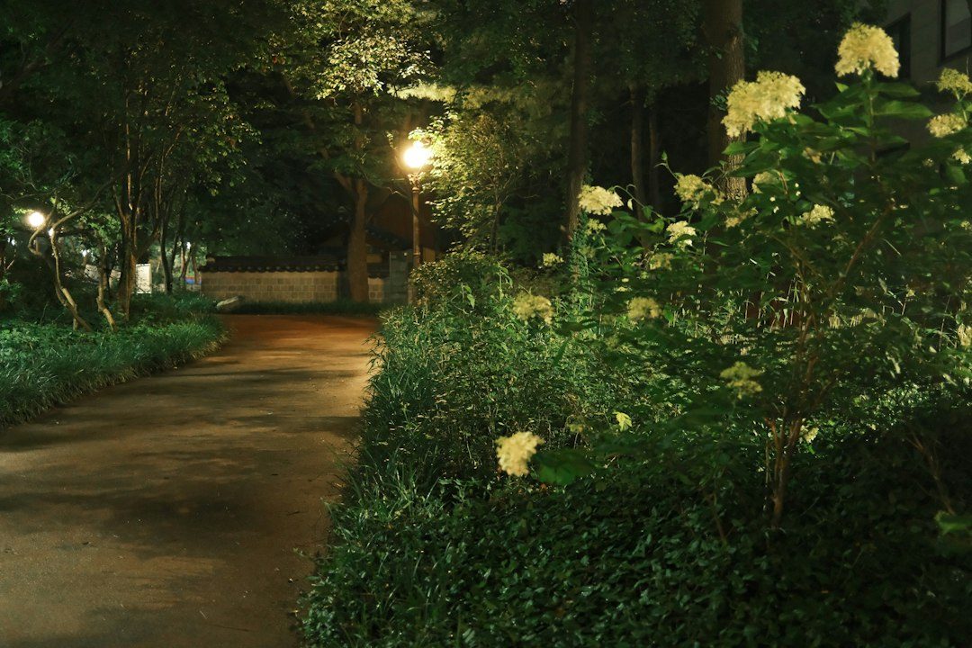 Moonlight Memory Walk at Heligan
