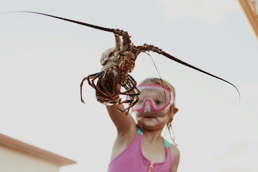 Skeletons of the Sea half-term at the National Lobster Hatchery