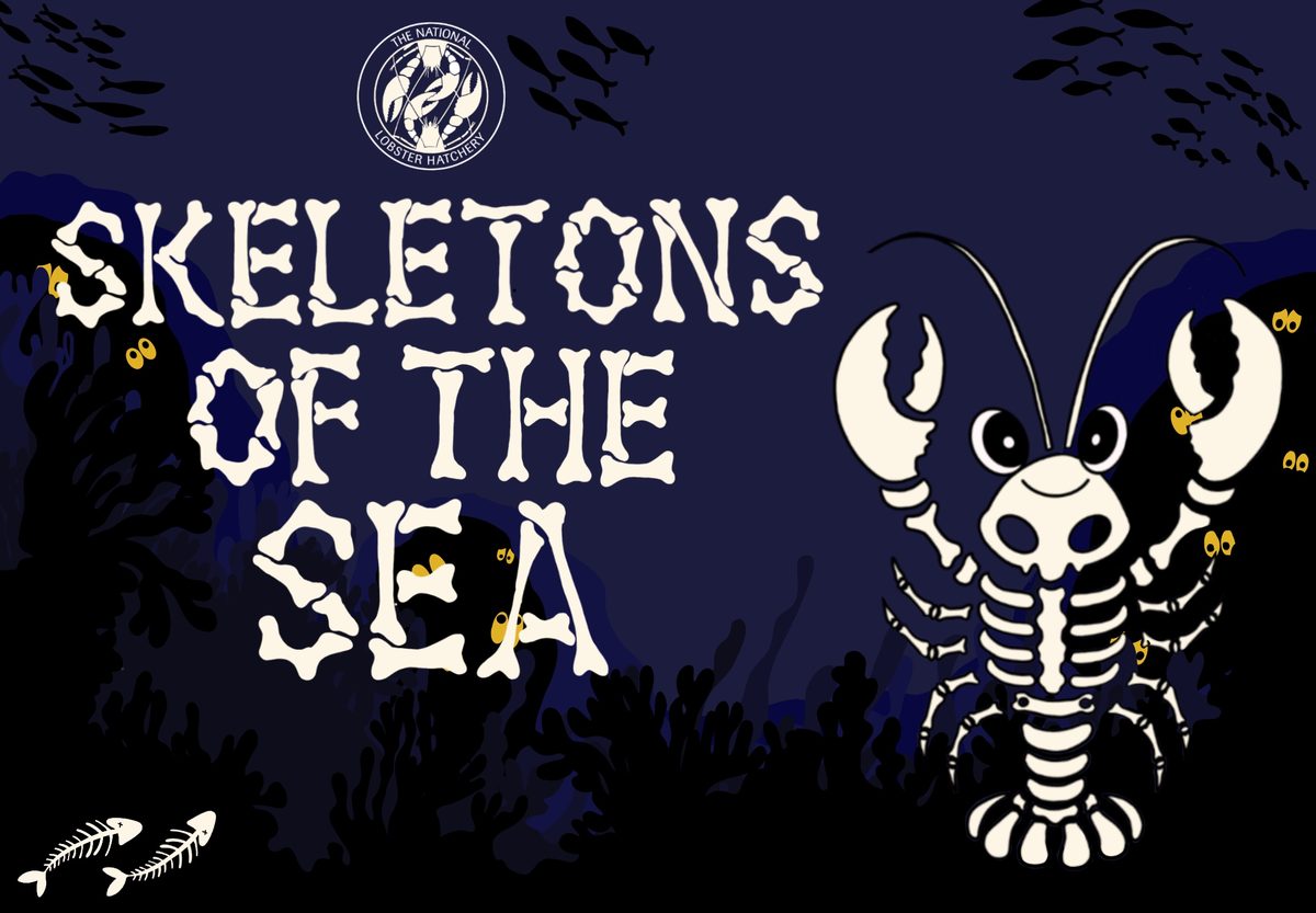 Skeletons of the Sea, Padstow