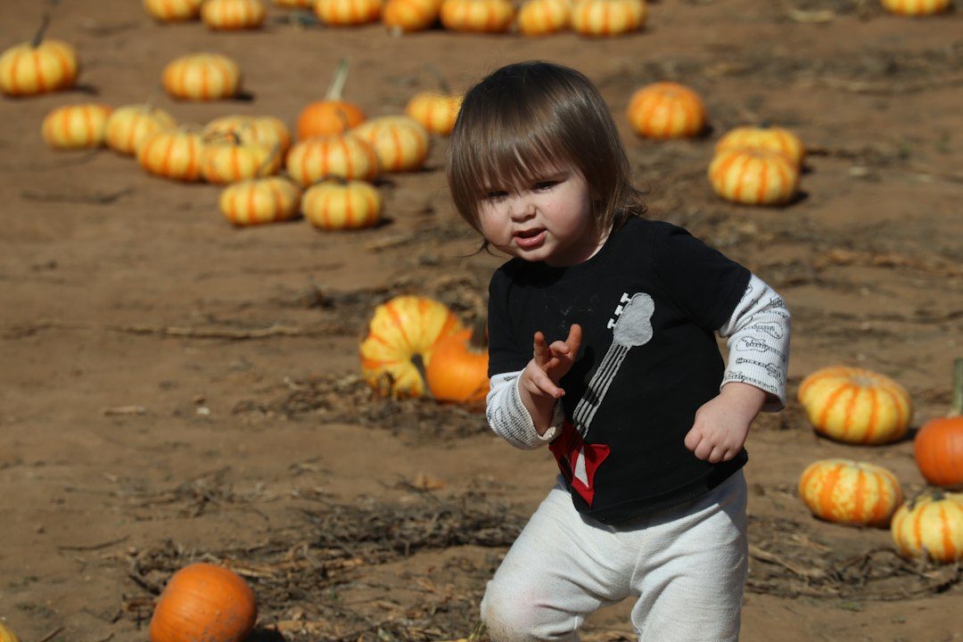 Halloween half term at Camel Creek Adventure Park