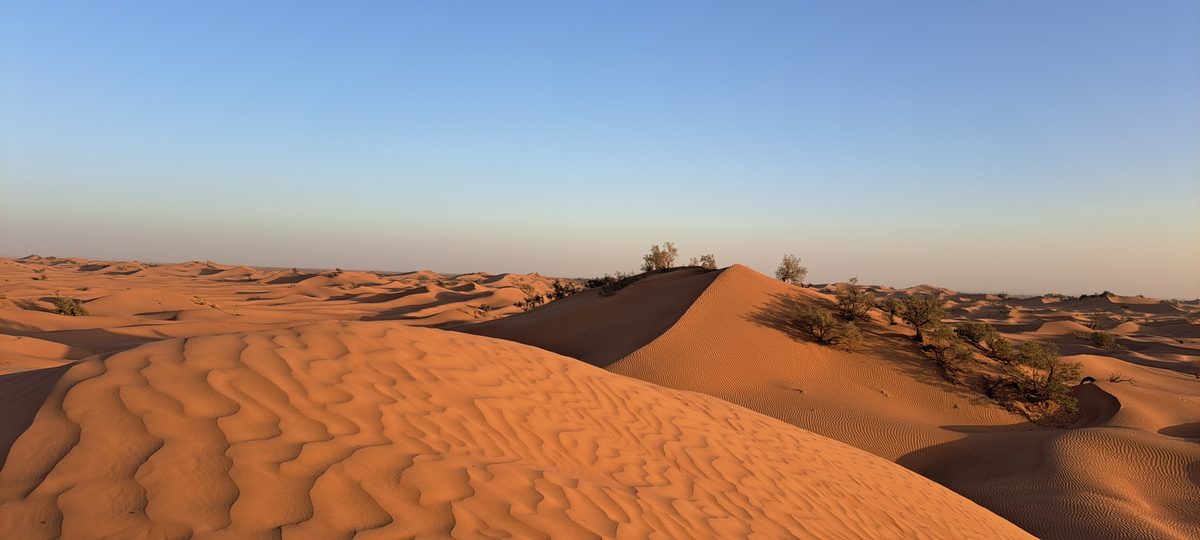 Trek the Sahara for Cornwall Hospice