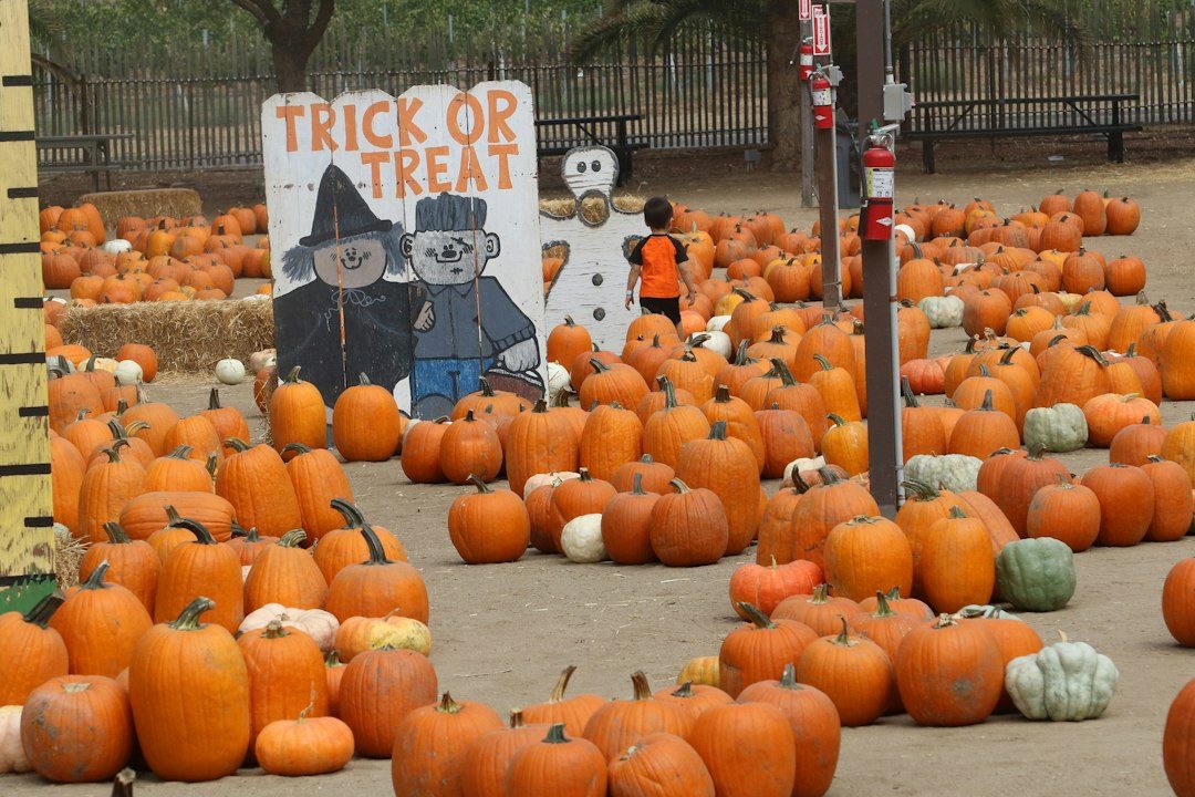 Trick or Treat Trail at Bodmin Jail