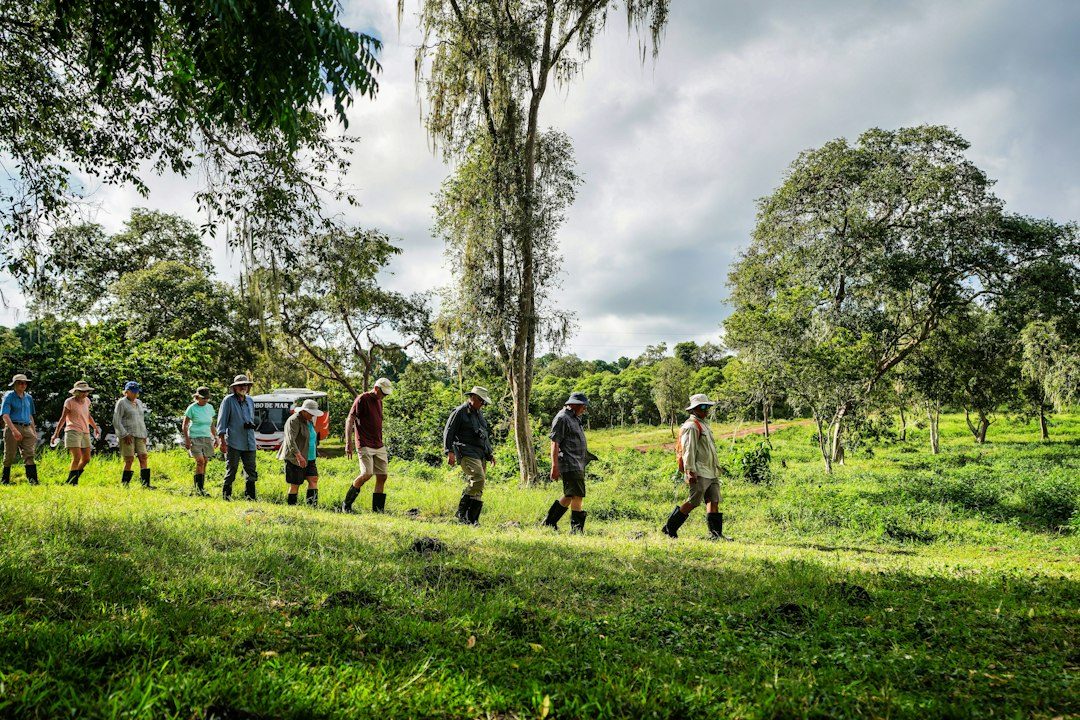UK Fungus Day ranger walk at Trelissick