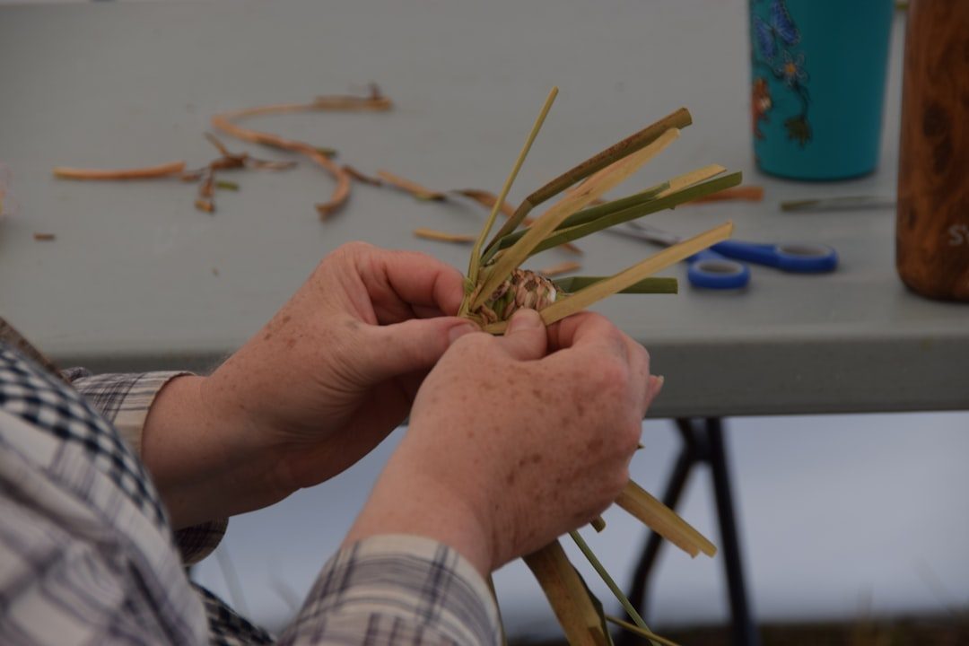 Willow Platter Workshop in Launceston
